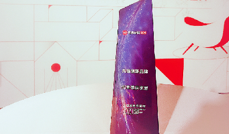 云顶国际官网荣登2020中国家居冠军榜，斩获“先锋创新品牌”称号！