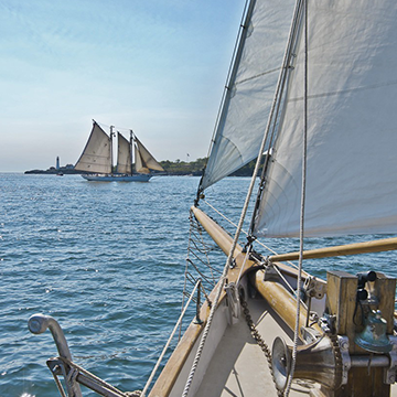 第十五卷,扬帆起航8-526,进口地板